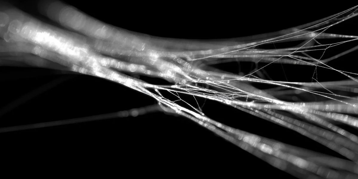 matase-paianjen.png - RevistaPolitica