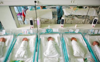 nou-nascut_INQUAM_Photos_George_Calin.jpg - RevistaPolitica