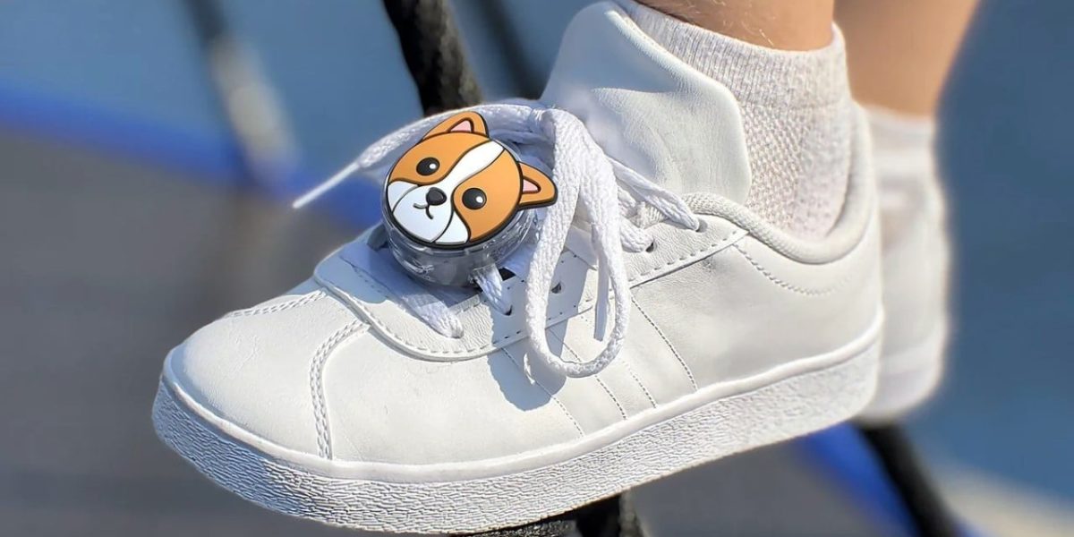 pantofi-airtag.jpg - RevistaPolitica