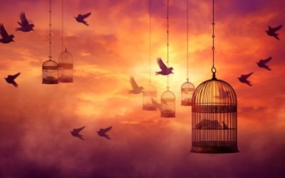 pixabay-erika14666-heaven-bird-bird-cage-royalty-free-stock-illustration-ai-generated_99243000.jpg - RevistaPolitica