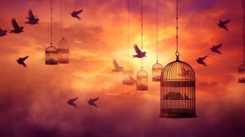 pixabay-erika14666-heaven-bird-bird-cage-royalty-free-stock-illustration-ai-generated_99243000.jpg - RevistaPolitica