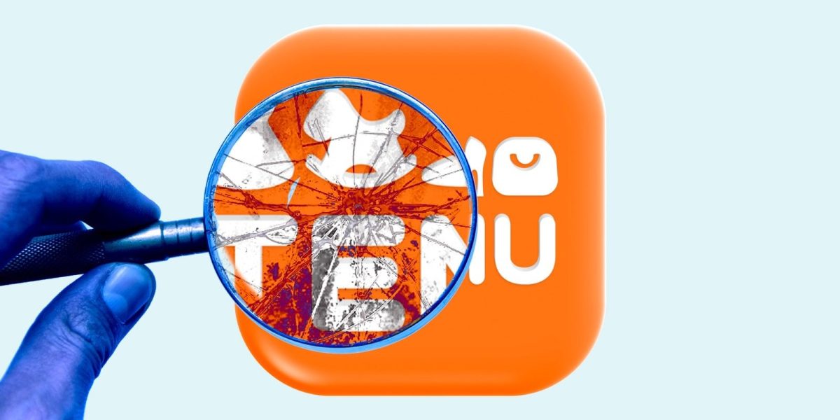 probleme-cu-temu.jpg - RevistaPolitica