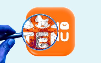 probleme-cu-temu.jpg - RevistaPolitica