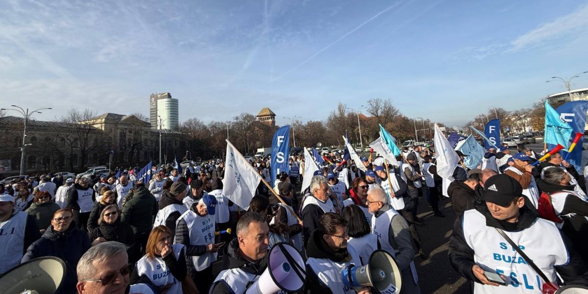 protest-al-sindicatelor-din-invatamant-Piata-Victoriei.jpg - RevistaPolitica
