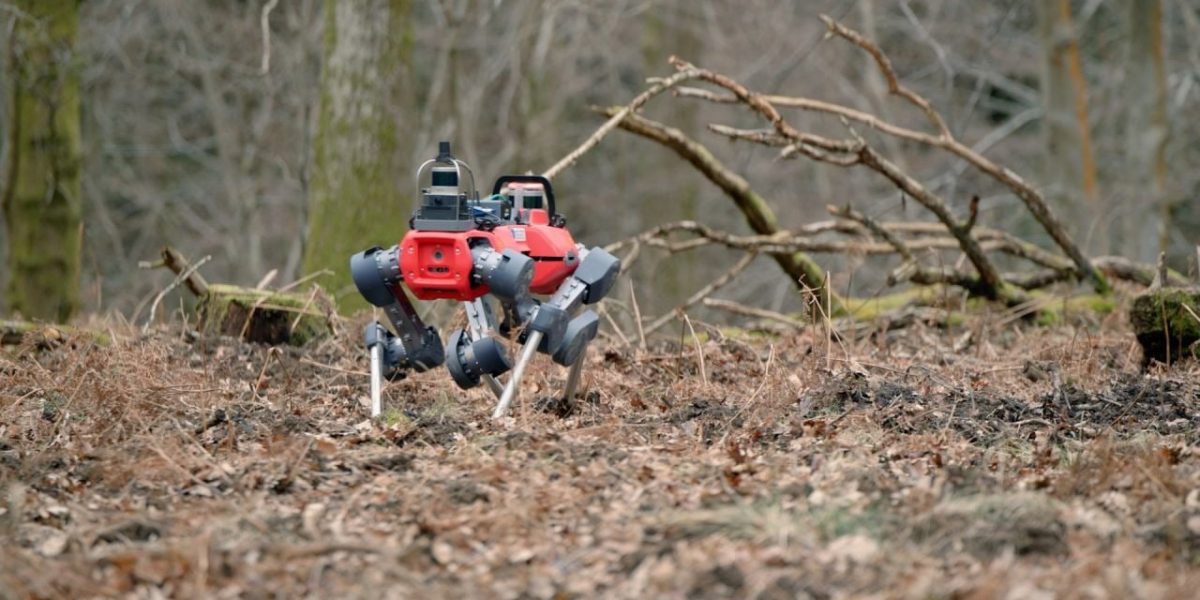 robotii-caini-care-scaneaza-padurile-defrisari.jpg - RevistaPolitica