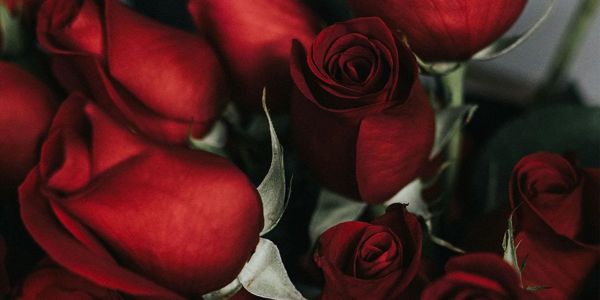 romance-DMID1-69yzu9ga6-1920x1080.jpg - RevistaPolitica