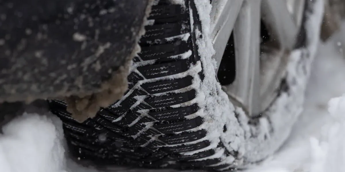 stratdezapada_INQUAM_Photos_Cosmin_Enache.webp.webp - RevistaPolitica