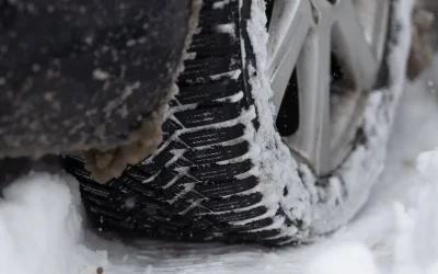 stratdezapada_INQUAM_Photos_Cosmin_Enache.webp.webp - RevistaPolitica