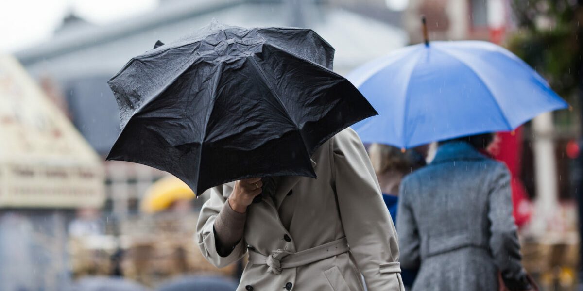 53689899-l-scaled-e1763451474463.jpg - RevistaPolitica