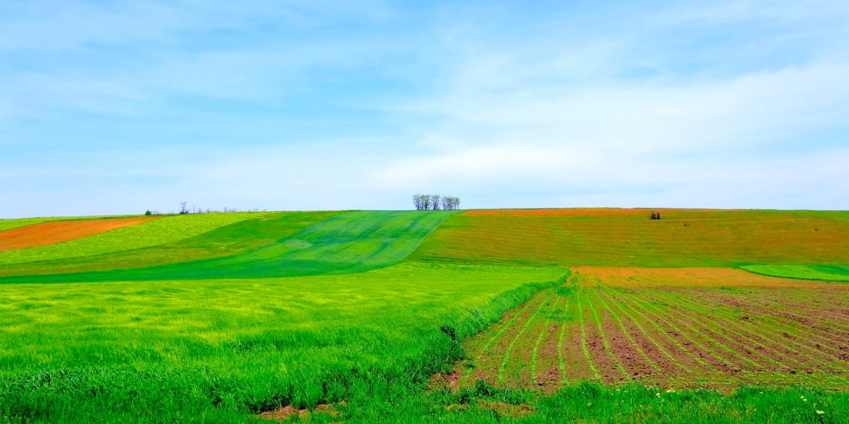 7762150-mediafax_group-remus_badea-scaled.jpg - RevistaPolitica