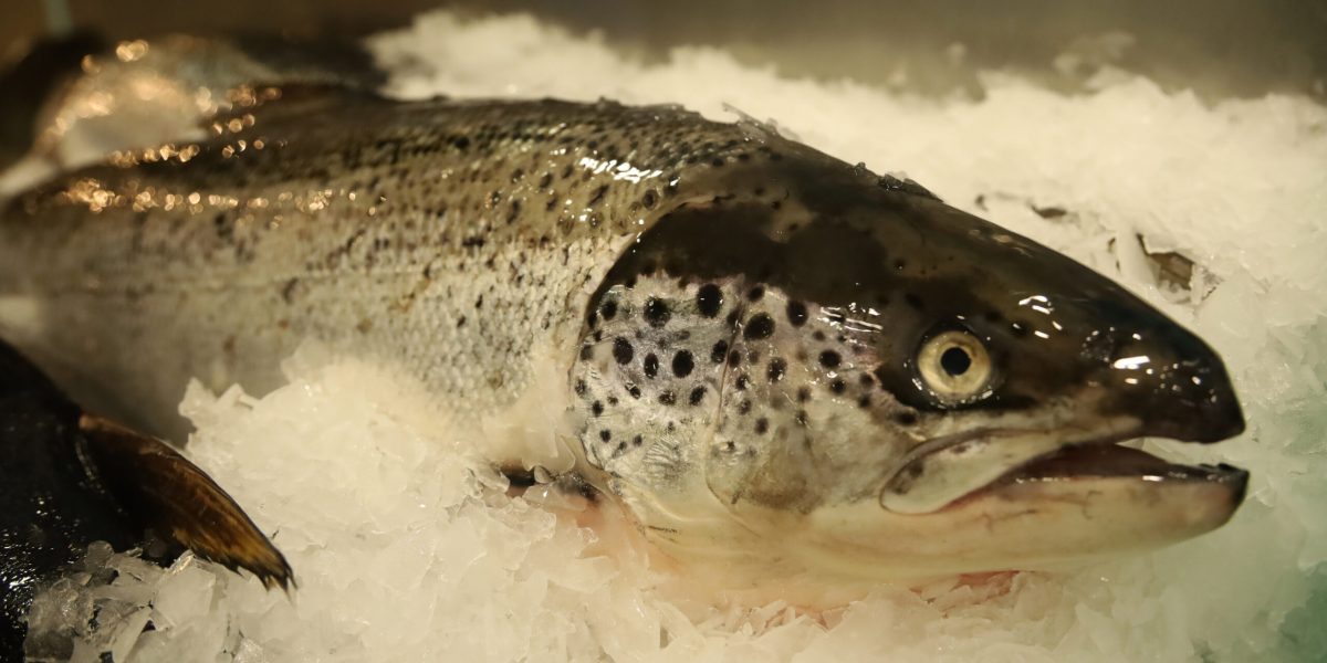 8037046-hepta_mediafax_foto-zuma_press_hepta-scaled.jpg - RevistaPolitica