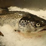 8037046-hepta_mediafax_foto-zuma_press_hepta-scaled.jpg - RevistaPolitica