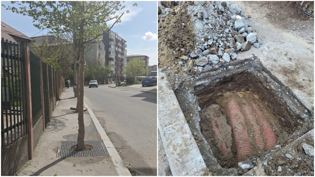 FOTO | Sectorul 4, revoltă pe stradă: Copacii plantați aiurea costă 1,6 mil. euro