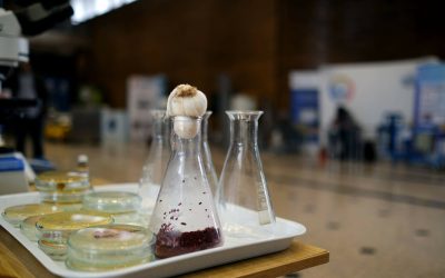 Biofest 2026: Politehnica, laboratorul mâncării viitorului pentru România