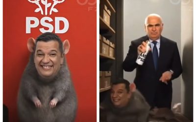 PSD pregătește plângere penală și la CNCD după meme-urile cu liderii partidului în rol de șobolani Partidul Social Democrat (PSD) intenționează să depună plângere la Parchetul General și la Consiliul Național pentru Combaterea Discriminării (CNCD), ca urmare a apariției în mediul online a unor imagini care compară liderii formațiunii cu șobolanii