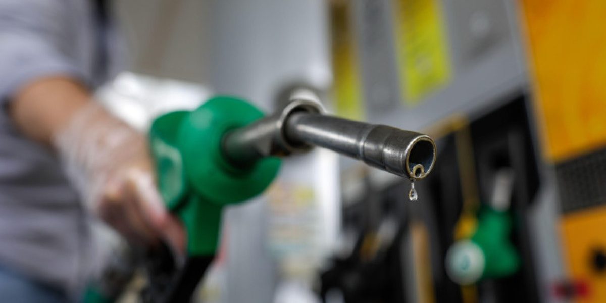 PTEmaGFzaD03MjlkY2FlY2JiYTk2MWY0MjFlMDU2YTA5OWQ0ZjUxOA.thumb_.jpg - RevistaPolitica