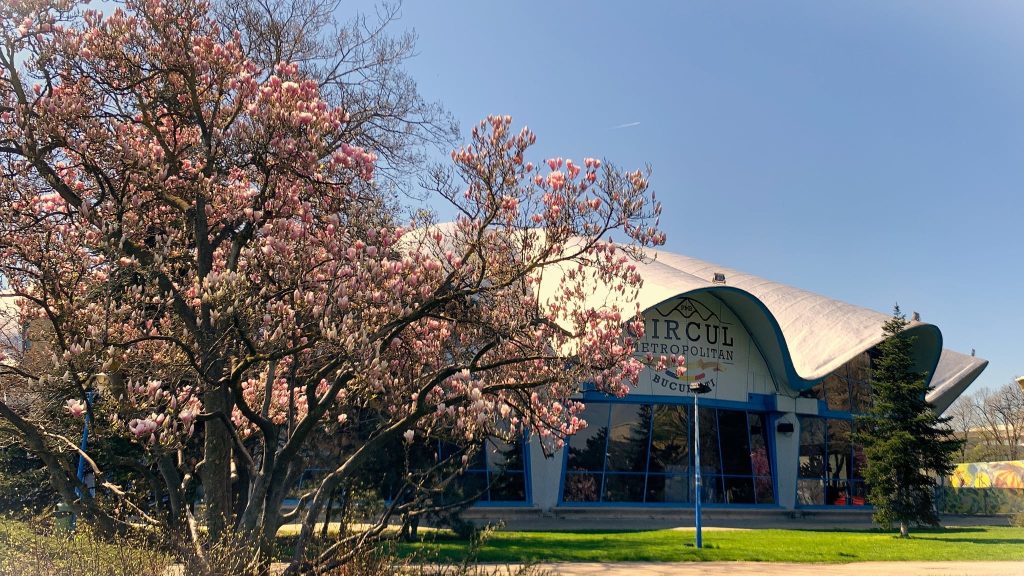 Adopții la Circul Metropolitan în aprilie: Distracție pentru copii inclusă