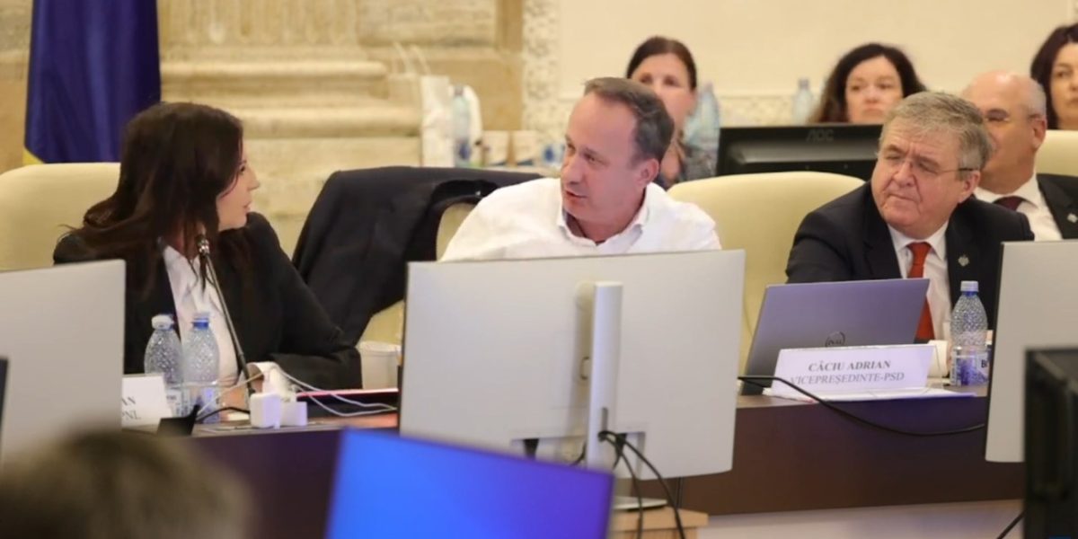 adrian-caciu-gabriela-horga-vreau-un-raspuns-comisie-buget-finante-parlament.jpg - RevistaPolitica