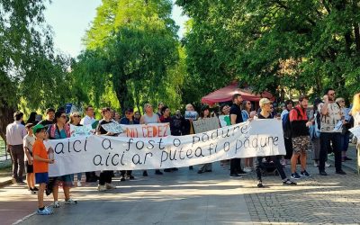 Cauți să schimbi Bucureștiul? Lecții de civism din 5 cartiere ale Capitalei