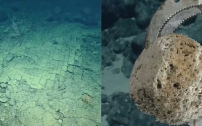 Descoperire uimitoare în adâncurile oceanului: „calea de dale galbene” de sub apă O echipă de cercetători a făcut o descoperire spectaculoasă în Parcul Național Marin Papahānaumokuākea, situat la nord de insulele Hawaii