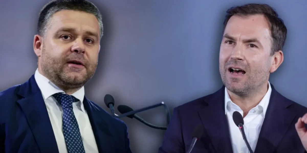 drula-ciucu_xlT40.webp.webp - RevistaPolitica