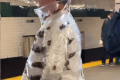 Un bărbat din New York a atras atenția generală după ce a fost văzut purtând o geacă plină cu gândaci de bucătărie în metrou, imaginile devenind rapid virale pe rețelele de socializare și stârnind o serie de reacții diverse din partea internauților