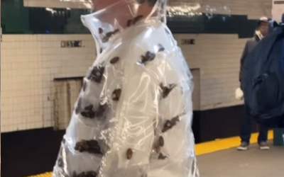 Un bărbat din New York a atras atenția generală după ce a fost văzut purtând o geacă plină cu gândaci de bucătărie în metrou, imaginile devenind rapid virale pe rețelele de socializare și stârnind o serie de reacții diverse din partea internauților