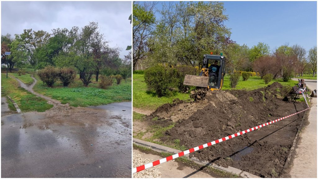 Grădină de ploaie, o premieră în București: Parcul Tineretului, model de sustenabilitate