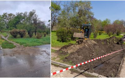 Grădină de ploaie, o premieră în București: Parcul Tineretului, model de sustenabilitate