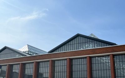 Hala Laminor, Sectorul 3: Uși de lux „evaporate”. Prejudiciu uriaș