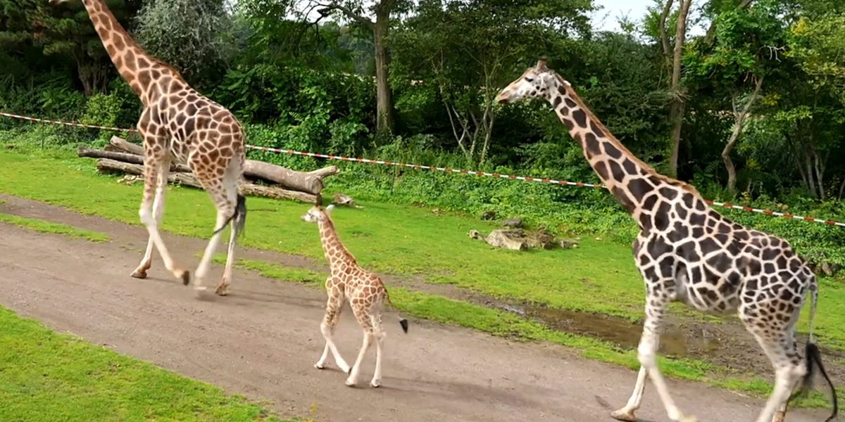 hepta_8449792-scaled.jpg - RevistaPolitica