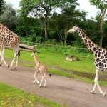 hepta_8449792-scaled.jpg - RevistaPolitica