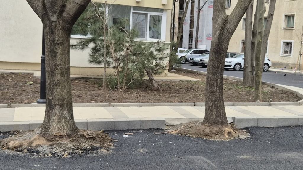 Hopincă, lovit de Garda de Mediu: parcări în spațiul verde, amendă și refacere