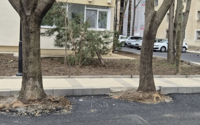 Hopincă, lovit de Garda de Mediu: parcări în spațiul verde, amendă și refacere