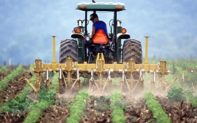 Organizațiile fermierilor din România trag un semnal de alarmă și cer măsuri urgente Guvernului, președintelui și Comisiei Europene pentru a preveni o criză alimentară