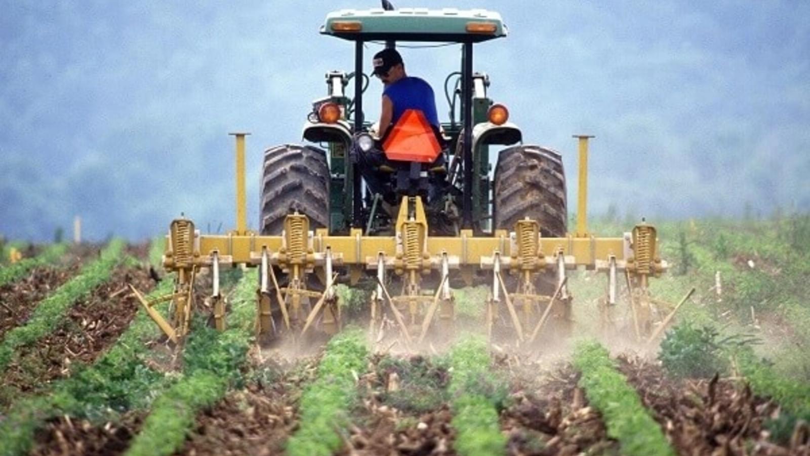 Organizațiile fermierilor din România trag un semnal de alarmă și cer măsuri urgente Guvernului, președintelui și Comisiei Europene pentru a preveni o criză alimentară