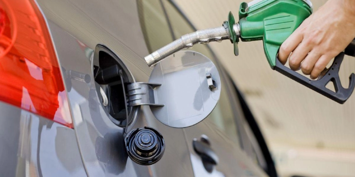 media-171973097683833600.webp.webp - RevistaPolitica