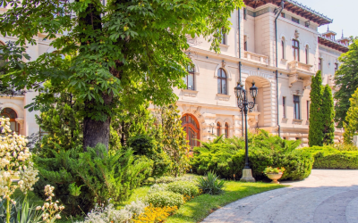 Consultările convocate miercuri de președintele Nicușor Dan la Palatul Cotroceni au dezvăluit o scenă politică în care simbolurile s-au ciocnit de realitățile economice