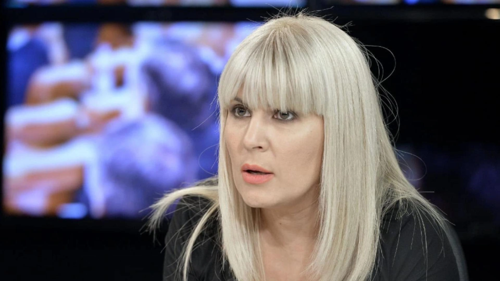 Fosta șefă a Cancelariei Prezidențiale, Elena Udrea, critică vehement planul de privatizare a unor companii de stat, considerând propunerea făcută de Guvern o „greșeală”