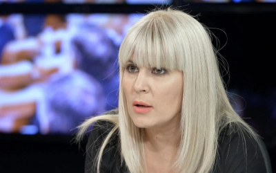 Fosta șefă a Cancelariei Prezidențiale, Elena Udrea, critică vehement planul de privatizare a unor companii de stat, considerând propunerea făcută de Guvern o „greșeală”