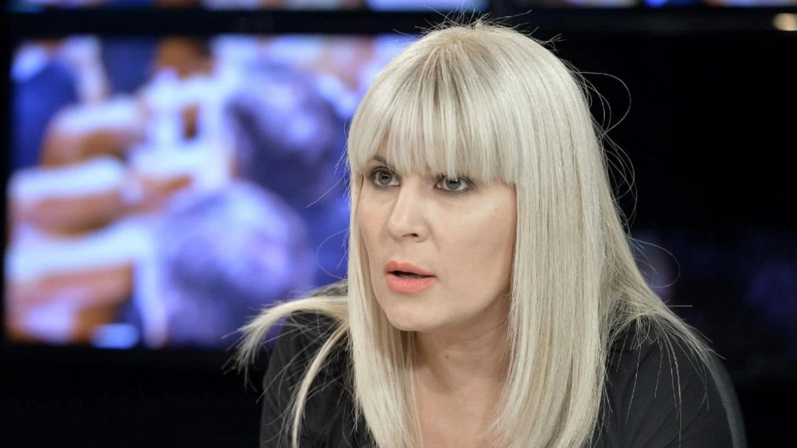Fosta șefă a Cancelariei Prezidențiale, Elena Udrea, critică vehement planul de privatizare a unor companii de stat, considerând propunerea făcută de Guvern o „greșeală”