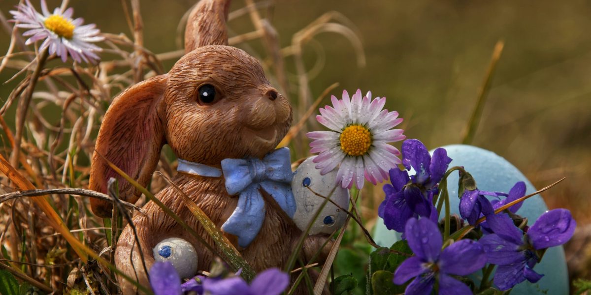 paste-iepure-oua-traditii-scaled.jpg - RevistaPolitica