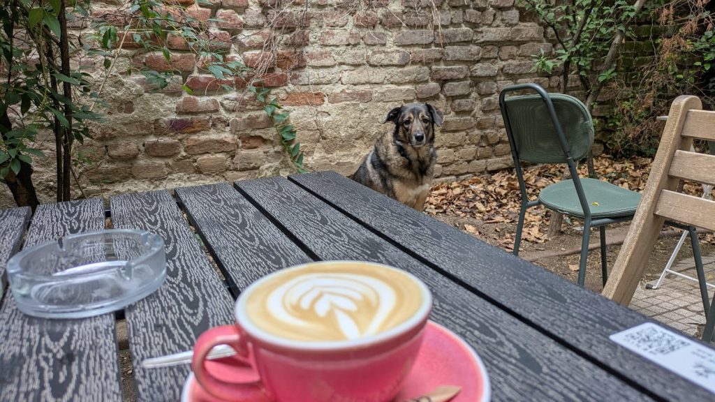 Începe săptămâna: Evenimente culturale cu Cosmin în București