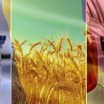 romania-resurse-jpg.jpeg - RevistaPolitica