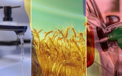 romania-resurse-jpg.jpeg - RevistaPolitica