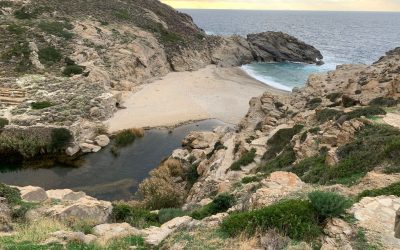 Ikaria, o insulă grecească inclusă în „zonele albastre” ale lumii, este un model de longevitate