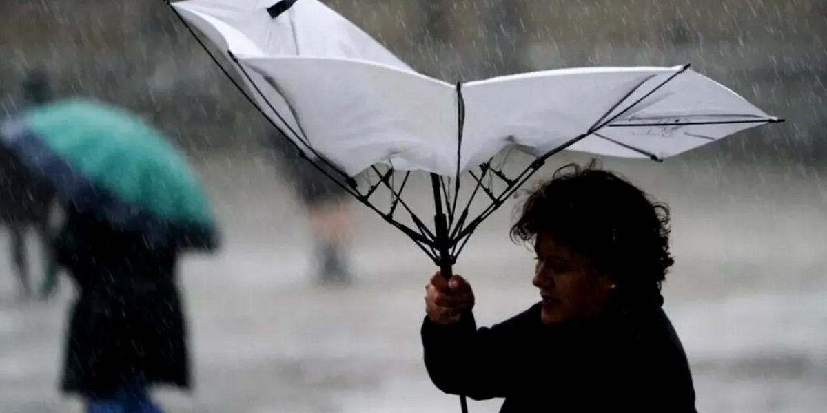 vant-2.jpg - RevistaPolitica