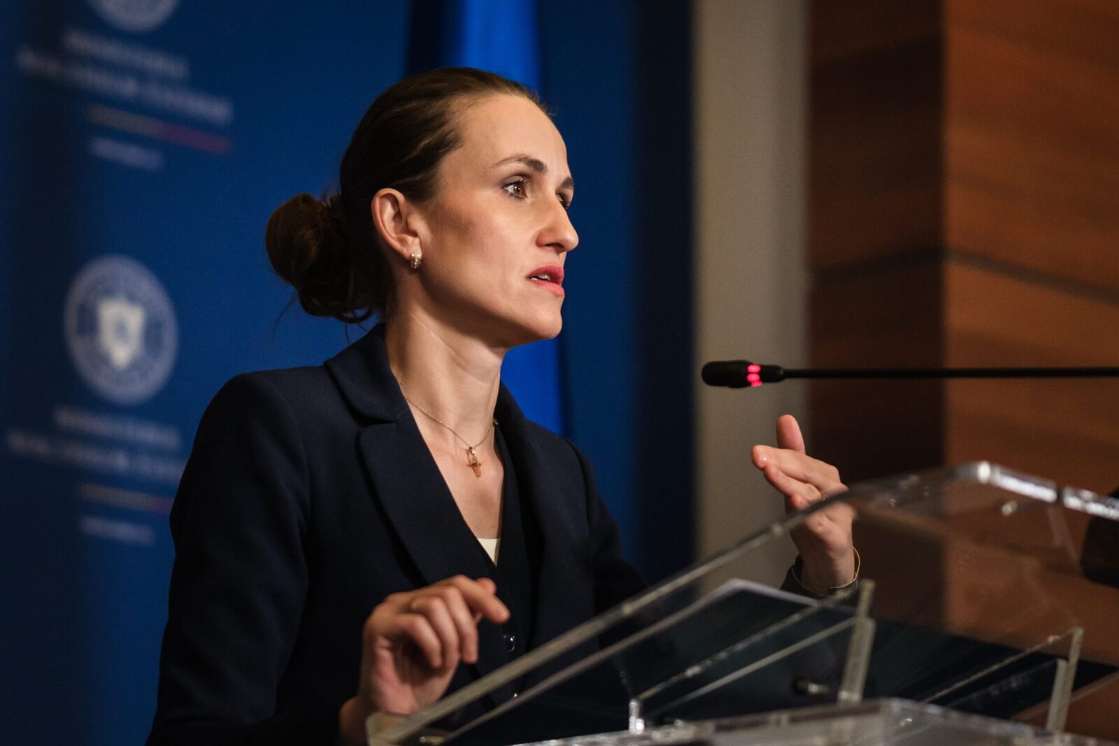 Oana Țoiu, ministrul Afacerilor Externe, a discutat despre rolul României în relațiile dintre Uniunea Europeană și Statele Unite, precum și despre importanța Summit-ului B9 de la București