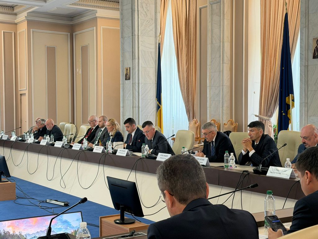 Apărare: AUR cere investiții locale din banii pentru armată în România