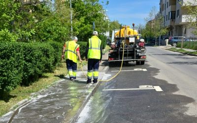 Curățenie de primăvară: Sectorul 6 intră în forță pe Drumul Taberei